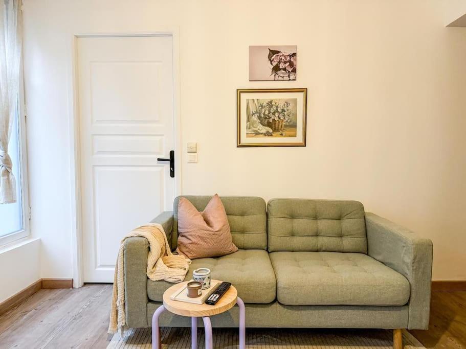 Confortable T2 - Plein Centre Tarbes Eksteriør billede